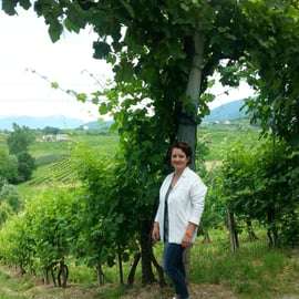 Ab Venedig oder Padua: 8-stündige Prosecco-Weinprobe-Tour