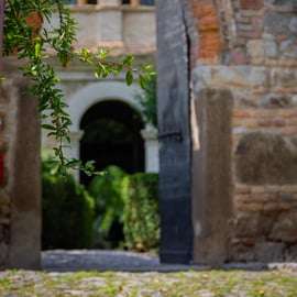 Tour guidato di Arquà Petrarca da Padova