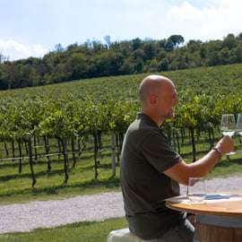 Visite guidée des collines Euganéennes avec dégustation depuis Padoue