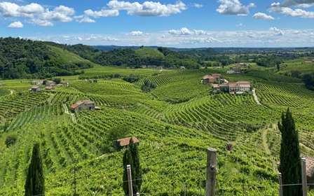 Tour panoramico di degustazione del Prosecco da Padova
