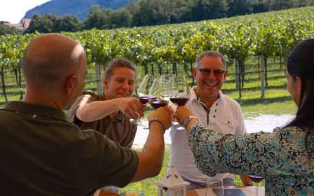 Tour guidato dei Colli Euganei con degustazione di vini da Padova