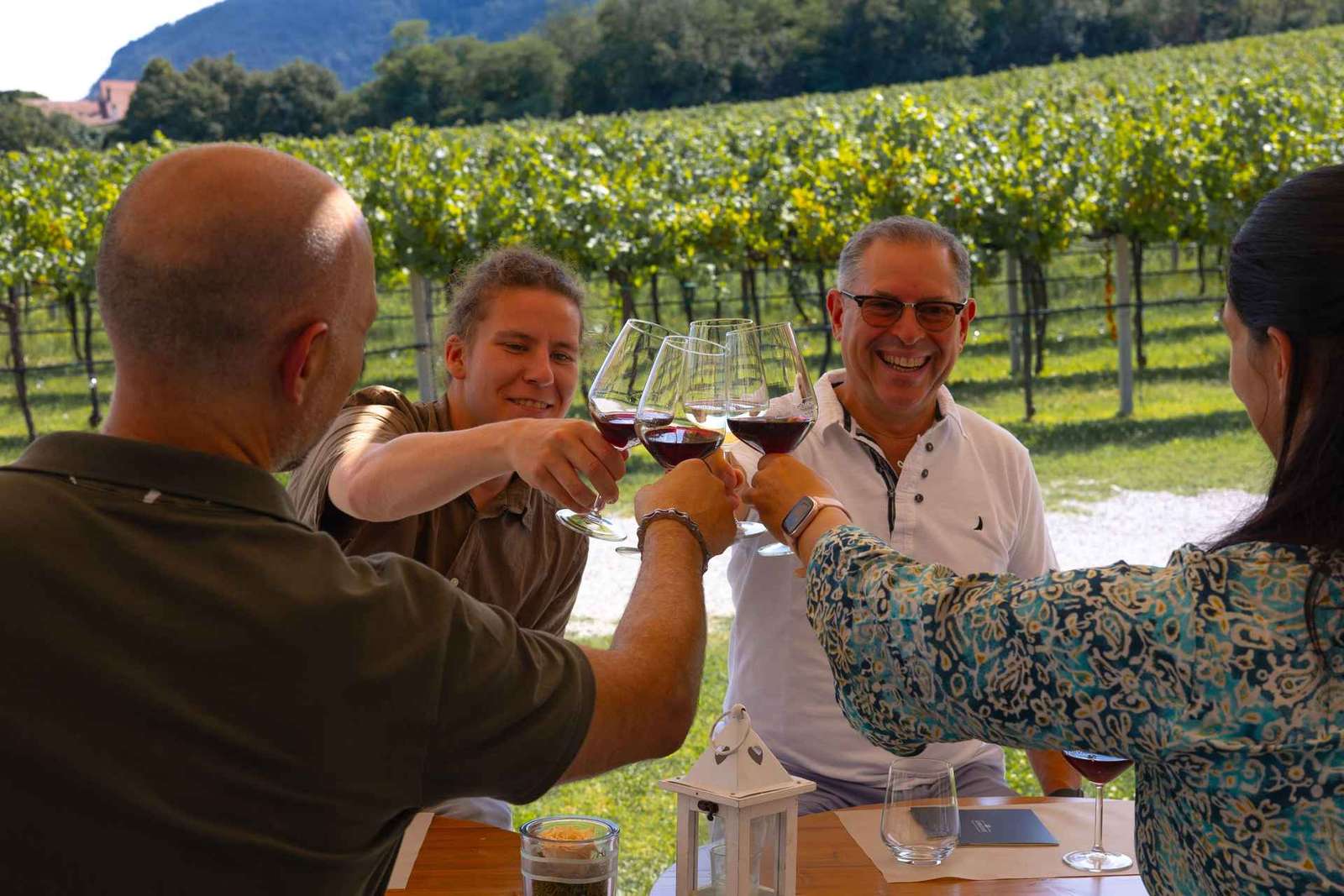 Visite guidée des collines Euganéennes avec dégustation depuis Padoue