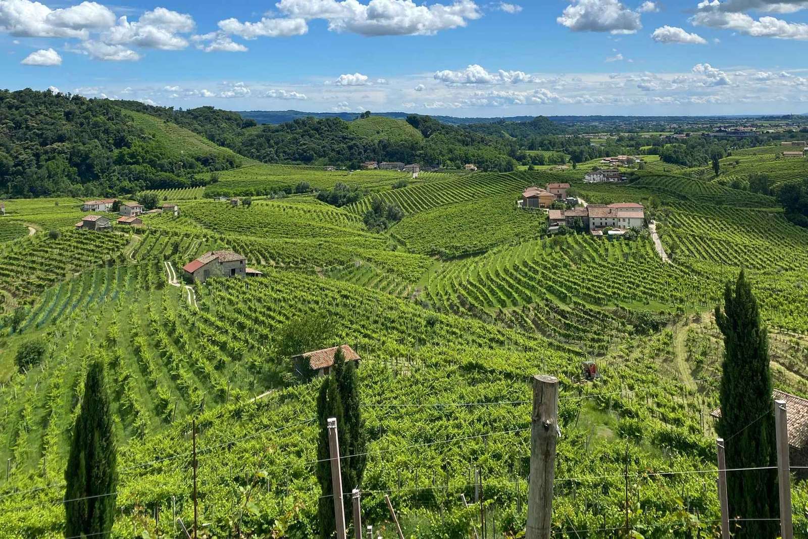 Tour panorâmico de degustação de Prosecco saindo de Pádua