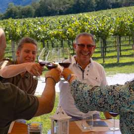 Visite guidée des collines Euganéennes avec dégustation depuis Padoue