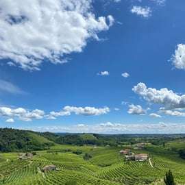 Tour panorâmico de degustação de Prosecco saindo de Pádua