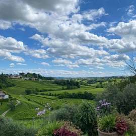 Tour panorâmico de degustação de Prosecco saindo de Pádua